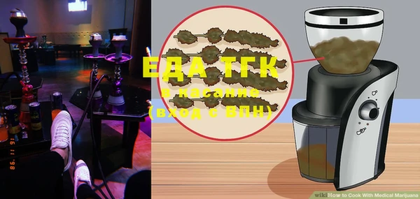 прущие грибы Нижний Тагил